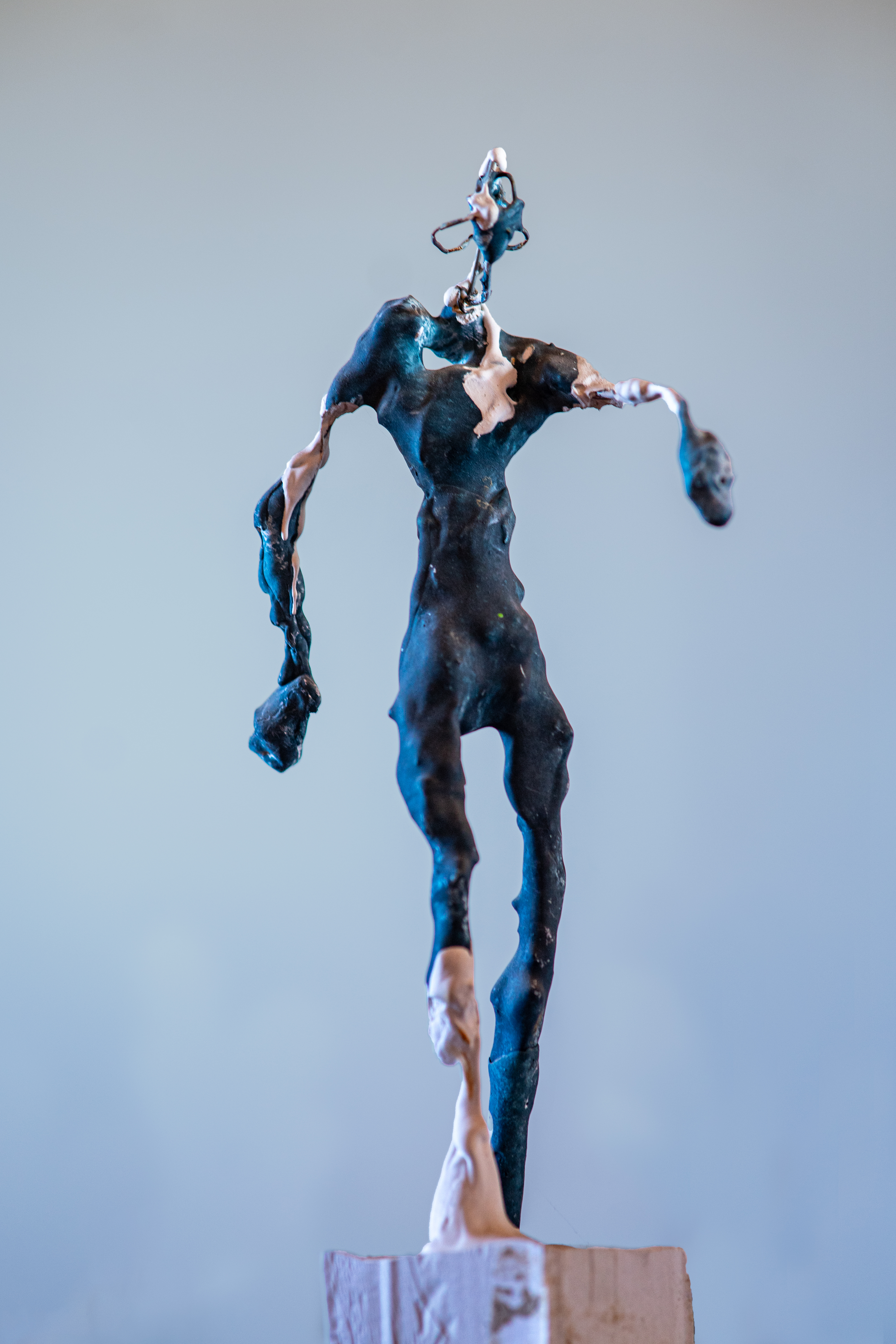 Sculpting Image 5